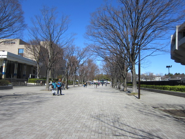 d0098295_22455221.jpg
