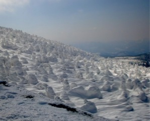 c0151898_15505941.jpg