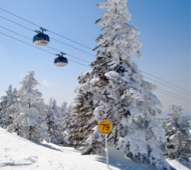 c0151898_15511531.jpg