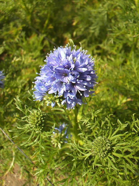f0127408_23492459.jpg