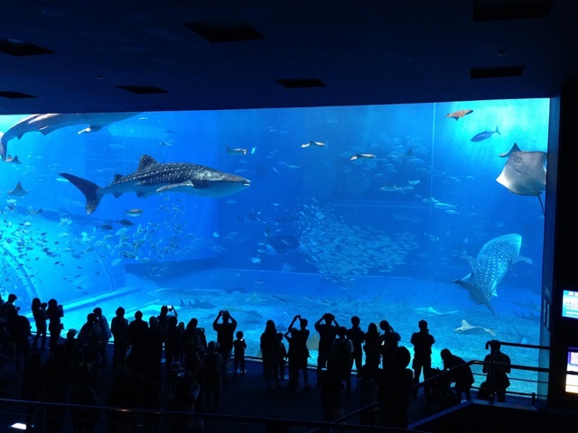 a0043814_1528507.jpg