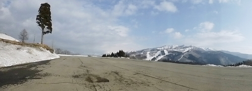 d0170615_20542026.jpg