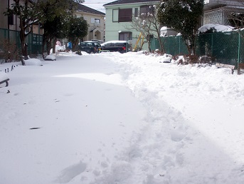 a0053420_11585824.jpg