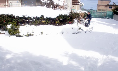 a0053420_11592658.jpg