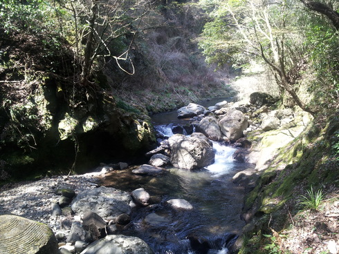 f0011022_1632557.jpg