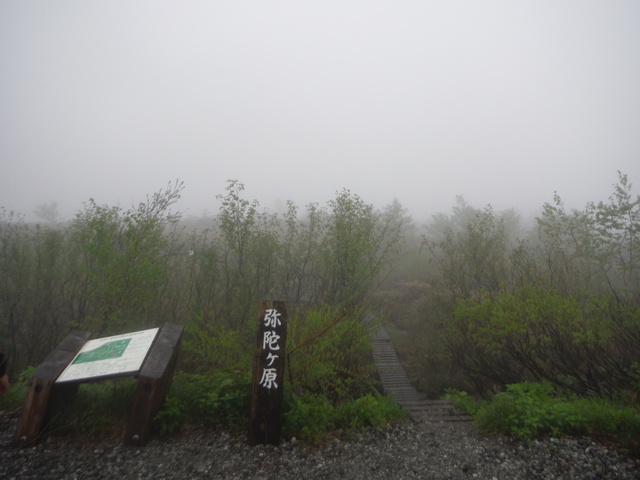 b0136931_937047.jpg