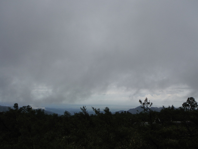 b0136931_948303.jpg
