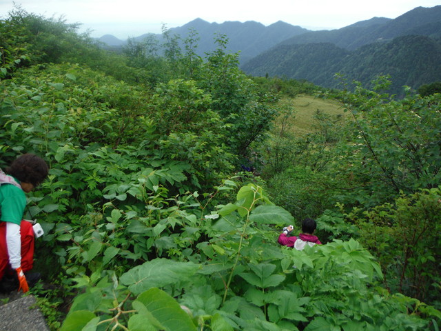 b0136931_9544495.jpg