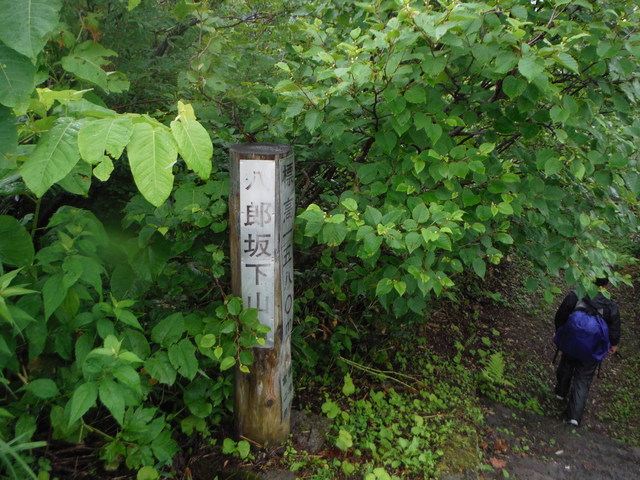 b0136931_9552812.jpg