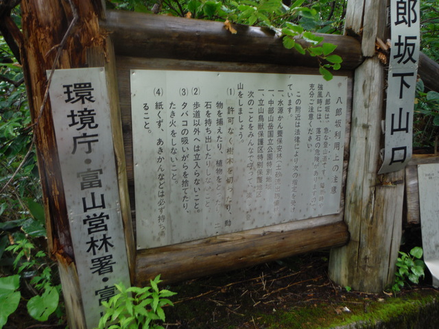 b0136931_9554879.jpg