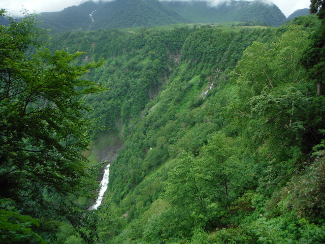 b0136931_9563521.jpg