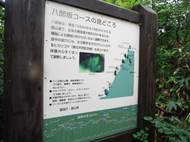 b0136931_956651.jpg