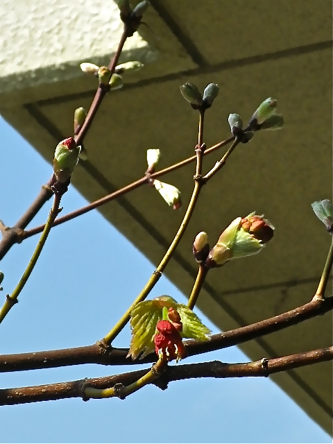 b0027736_13484860.jpg