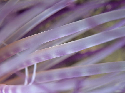 b0042837_218678.jpg