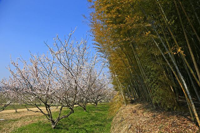 a0242438_19541855.jpg