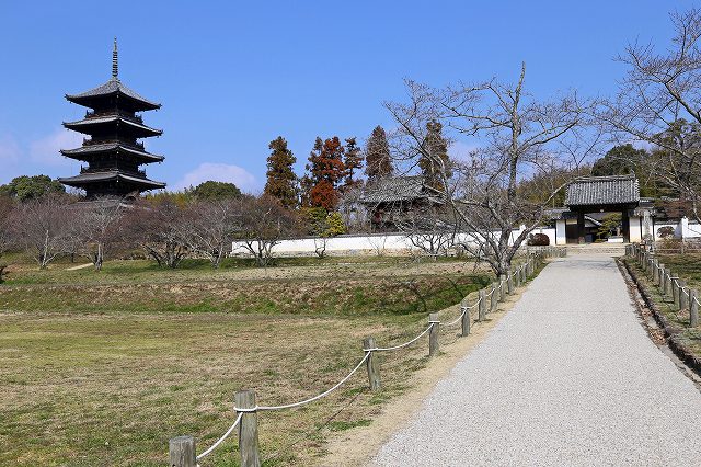 a0242438_19552832.jpg