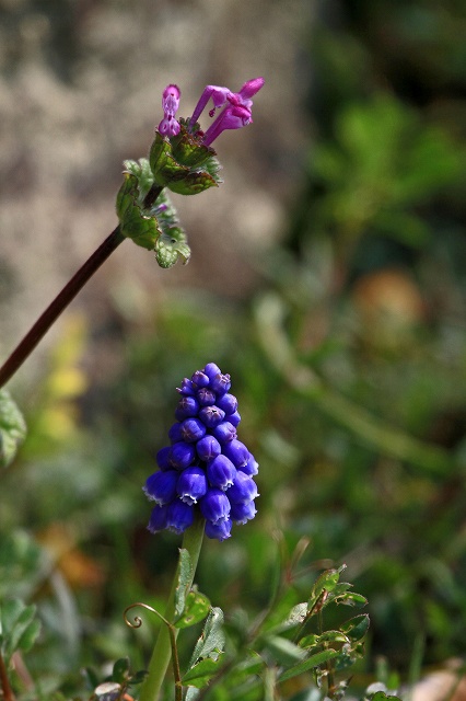a0242438_1957410.jpg