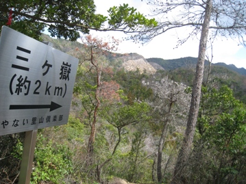 c0077338_6153687.jpg
