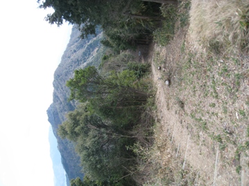c0077338_6165378.jpg