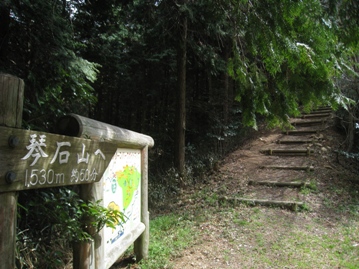 c0077338_6172012.jpg