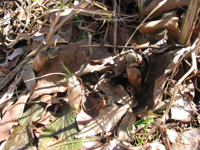 f0151044_8252623.jpg