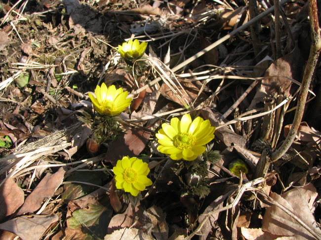 f0151044_826017.jpg
