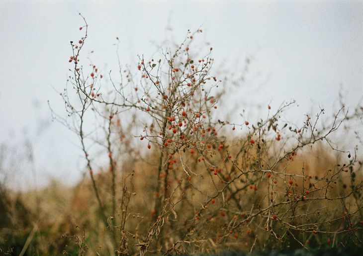 b0170947_10152168.jpg