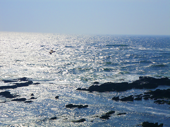 f0161647_1631048.jpg