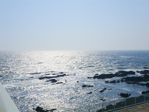 f0161647_1643254.jpg