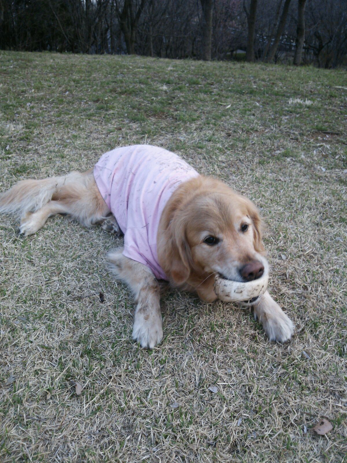 e0121548_201022.jpg