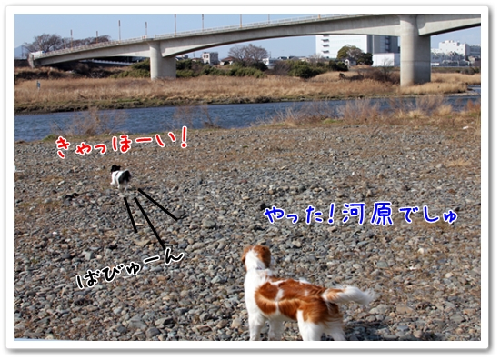 d0013149_7514598.jpg