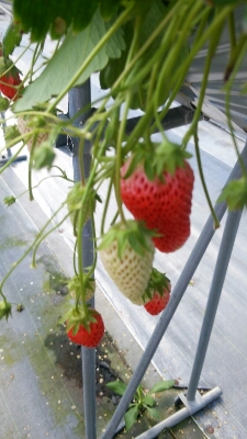 b0253057_8245910.jpg