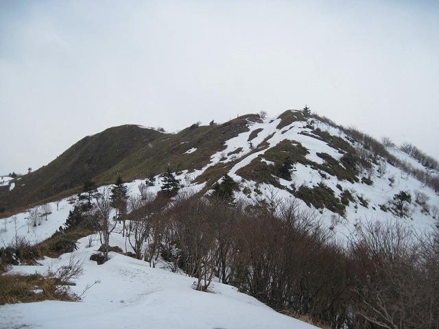 c0219866_19135291.jpg