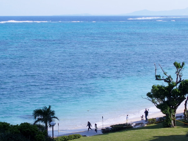 c0122670_23045416.jpg