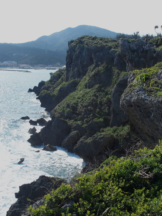 c0122670_23045422.jpg
