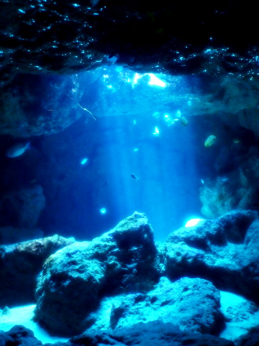 c0122670_23050710.jpg
