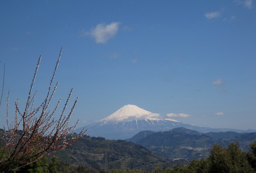 d0116173_239932.jpg