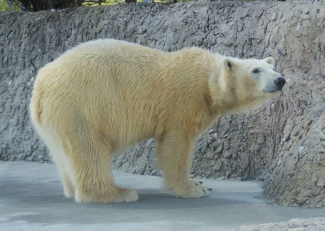 b0014576_22414471.jpg
