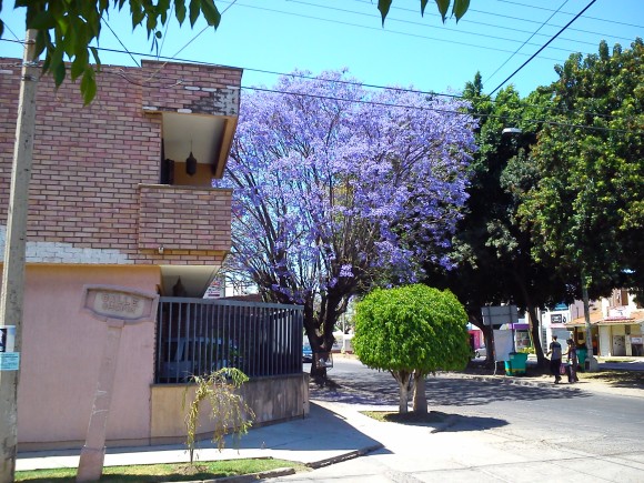 c0325278_01273946.jpg