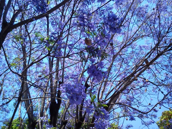 c0325278_01284797.jpg