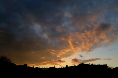 f0037378_7472170.jpg