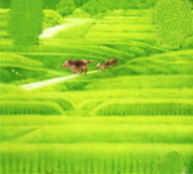c0328479_15115381.jpg