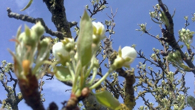 a0247585_201243.jpg
