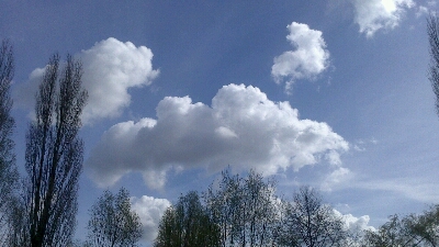 a0247585_20245058.jpg