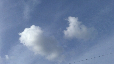 a0247585_20253856.jpg