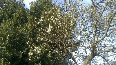 a0247585_20292219.jpg