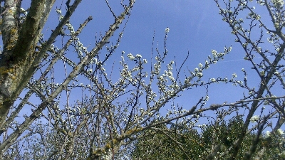 a0247585_2035098.jpg