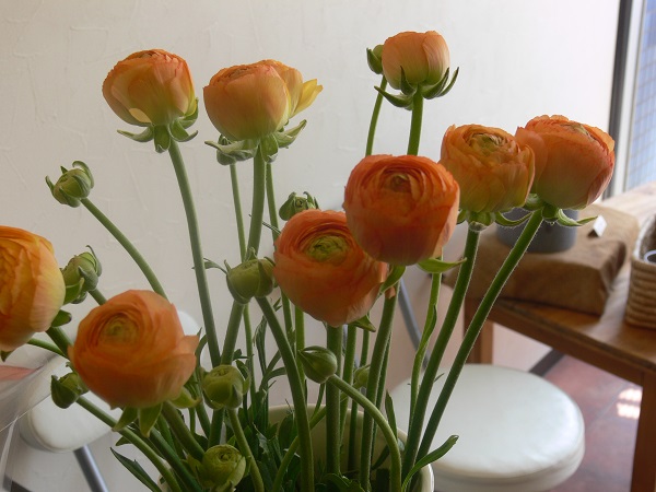 e0140986_1273411.jpg