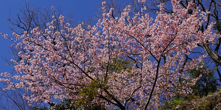 b0145398_15382399.jpg