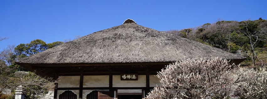 b0145398_1541966.jpg